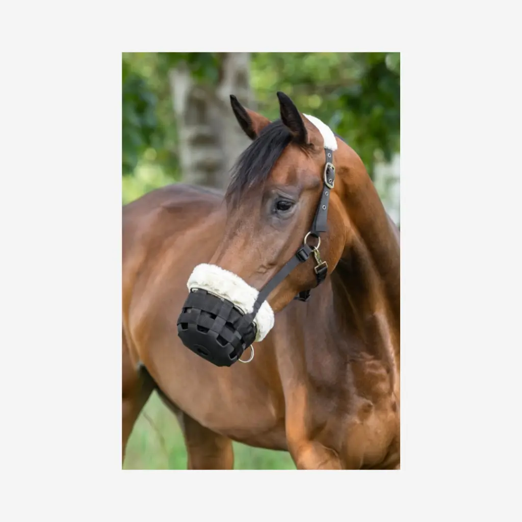 Produktbild - 2026-03-19T092506.692.webp