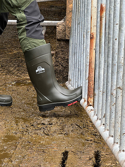 csm_40530_2_6c67032f0a.webp
