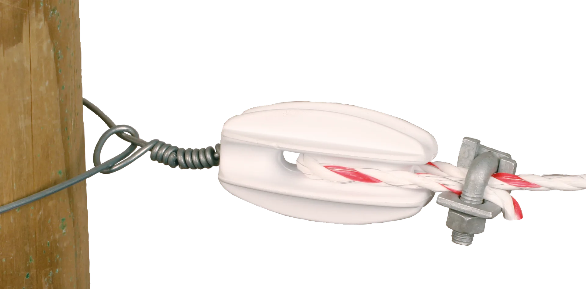 Patura - P169505