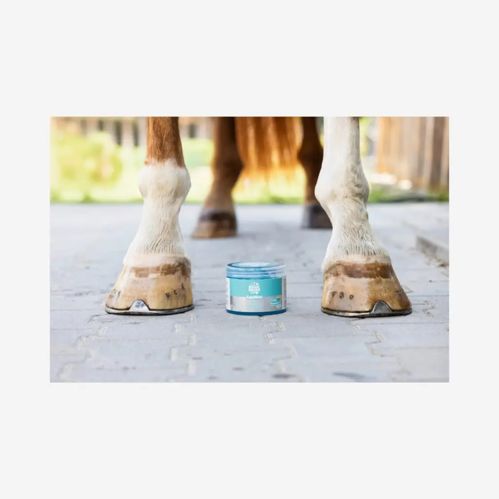 Produktbild - 2026-04-23T083111.330.webp