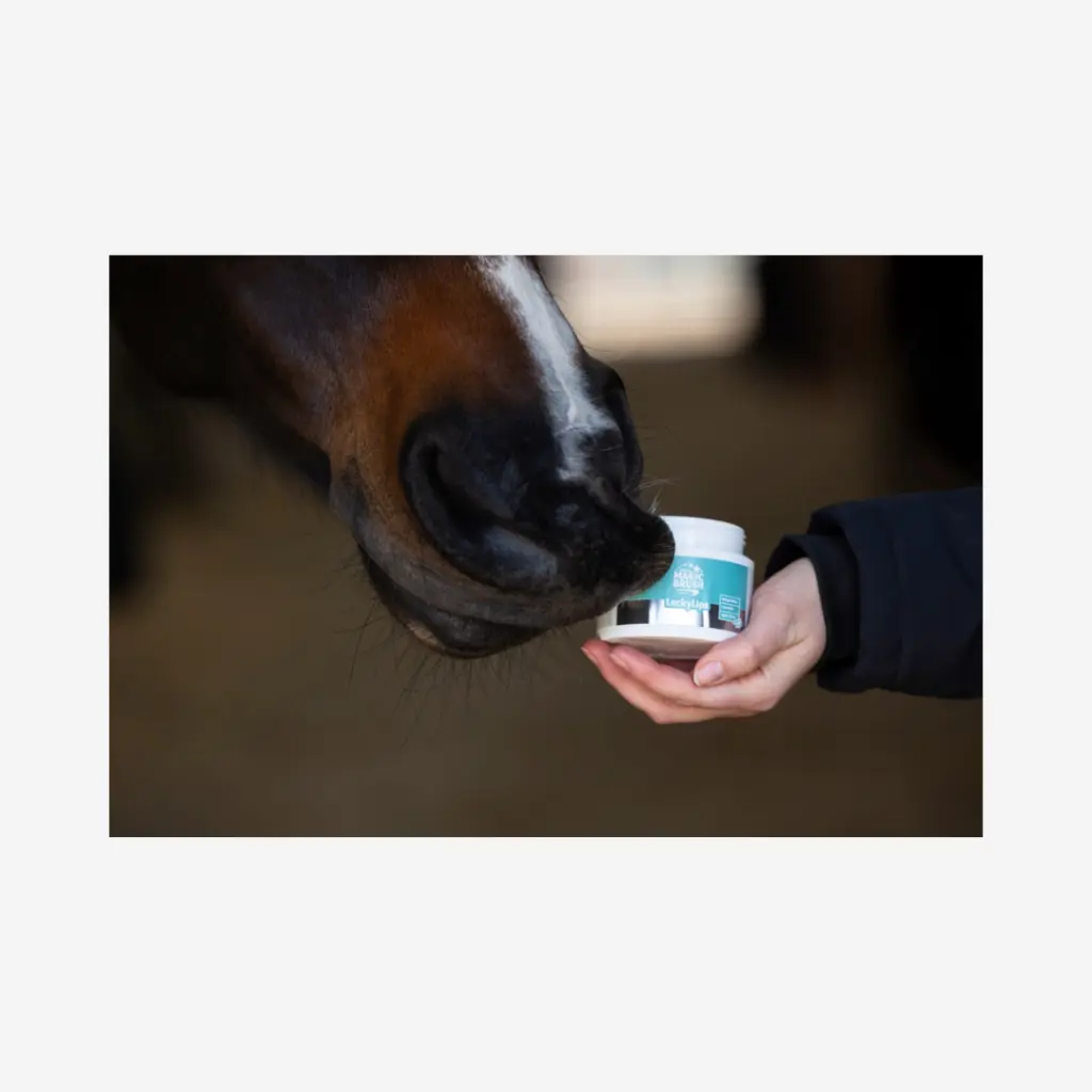 Produktbild - 2026-04-23T084748.480.webp