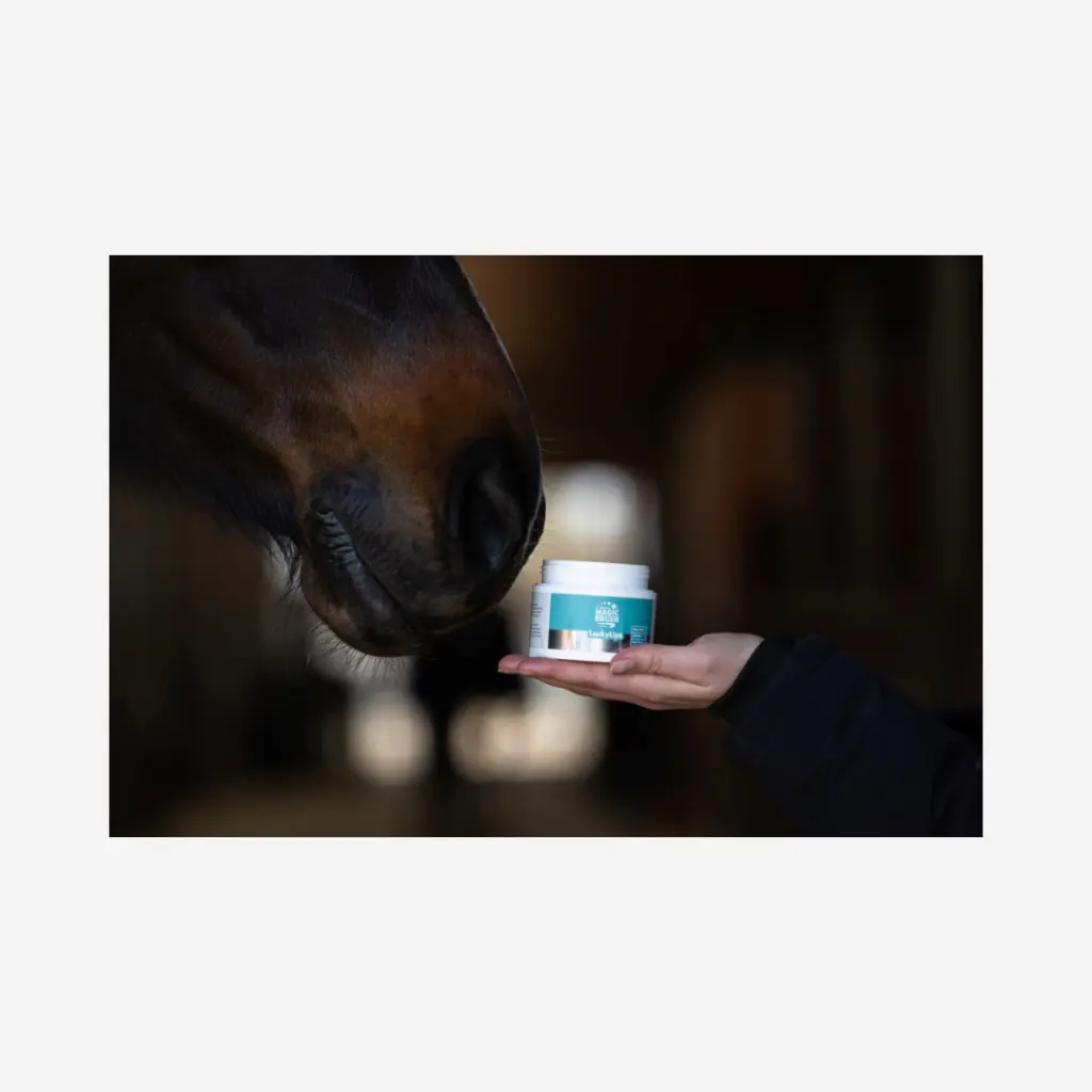 Produktbild - 2026-04-23T084804.455.webp