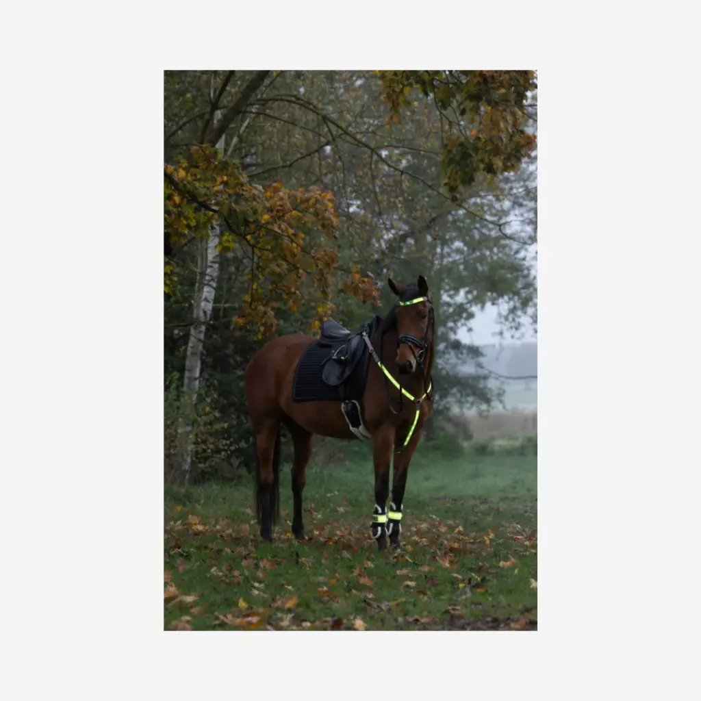 Produktbild - 2026-04-30T122020.727.webp