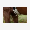 Produktbild - 2026-04-30T121840.275.webp