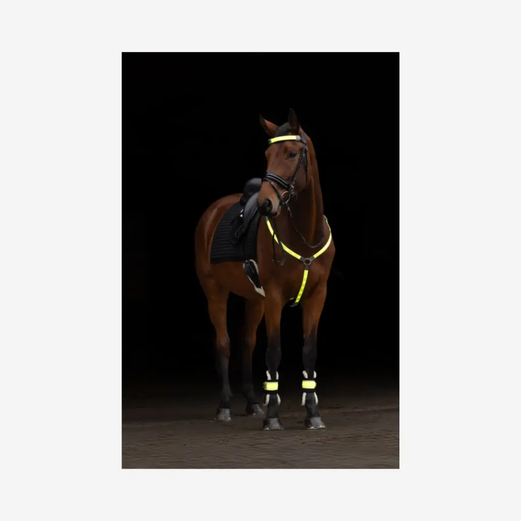 Produktbild - 2026-04-30T122004.695.webp