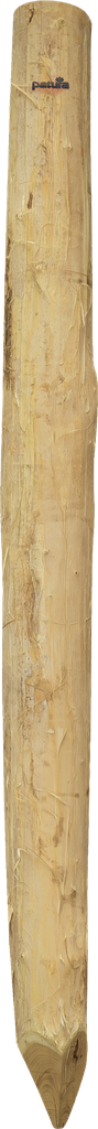 Patura - P219120
