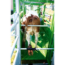 302402_Behandlungsstand-A5000-Fixierstange_MG_9811.668160ad.webp