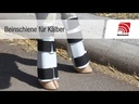 youtube - [Video]