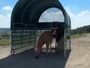 vimeo - [Video]