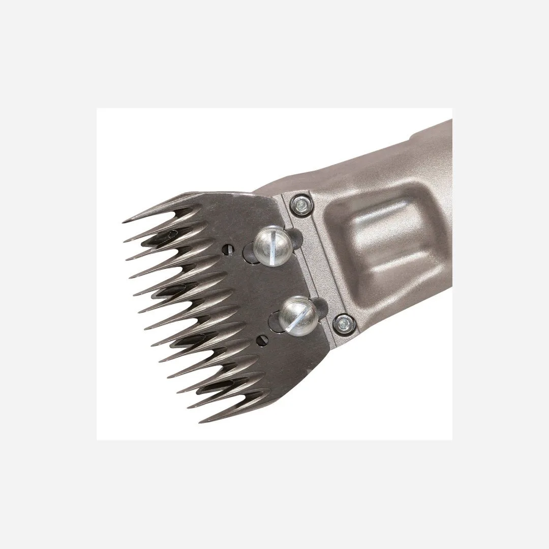 Kerbl 84590_add_18993+2