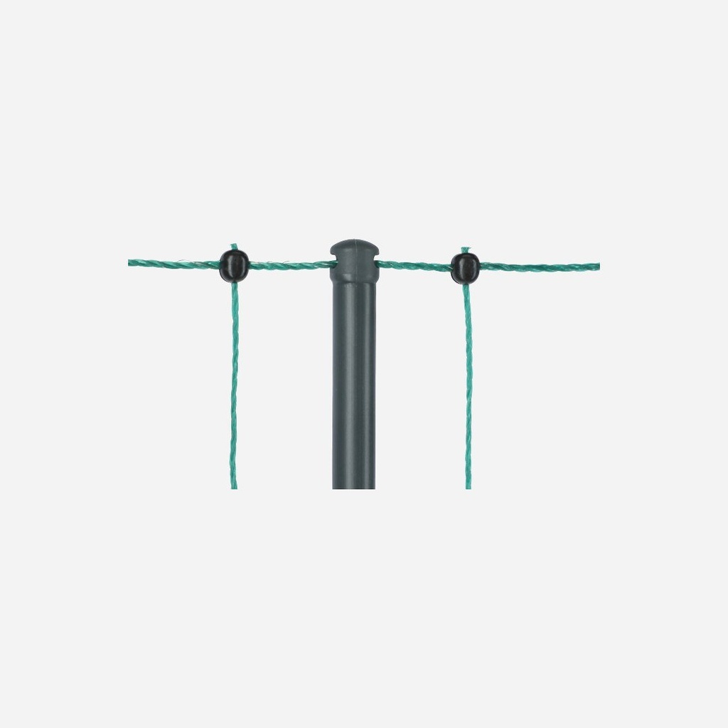 Kerbl 179319_add_292400+11