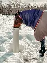 drinking_post_anw_08.webp