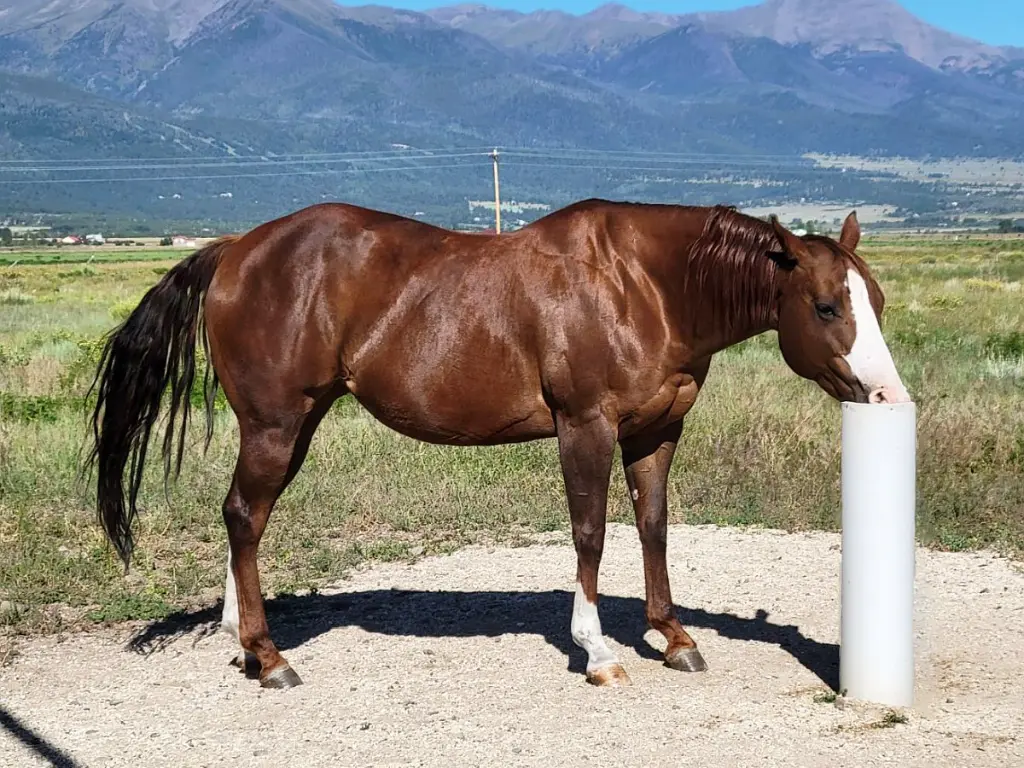 drinking_post_anw_02.webp