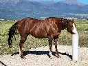 drinking_post_anw_02.webp