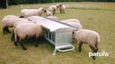 Lämmer-Futterautomat, L= 1,25 m, fahrbar Inhalt ca. 120 ltr., mit Dach, verzinkt