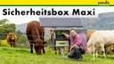 P6000, mit Sicherheitsbox XL, 200 W Solarmodul, 200 Ah Super-Vlies-Akku,