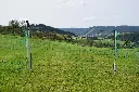 10316_2.webp