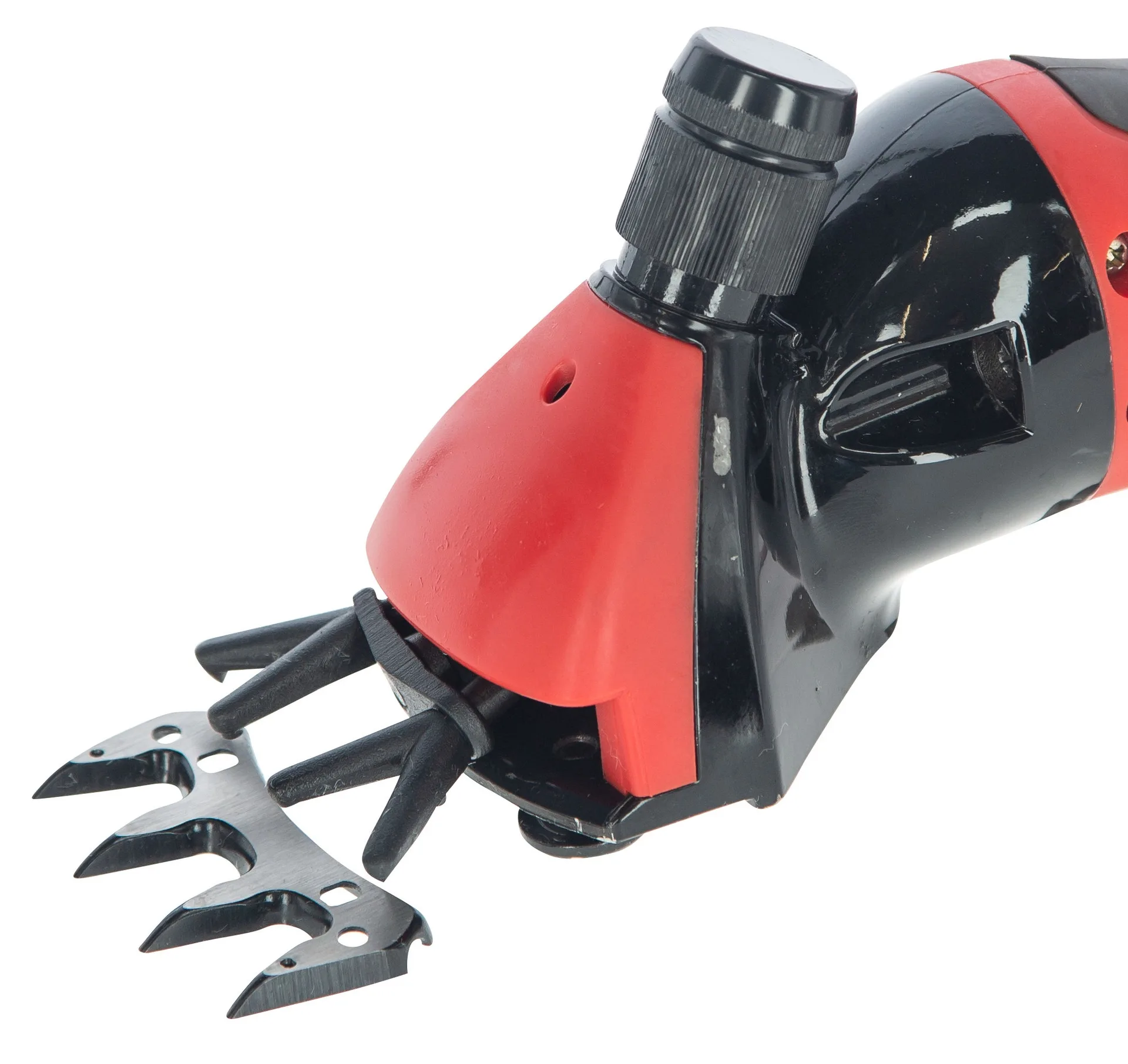 Kerbl - K18261