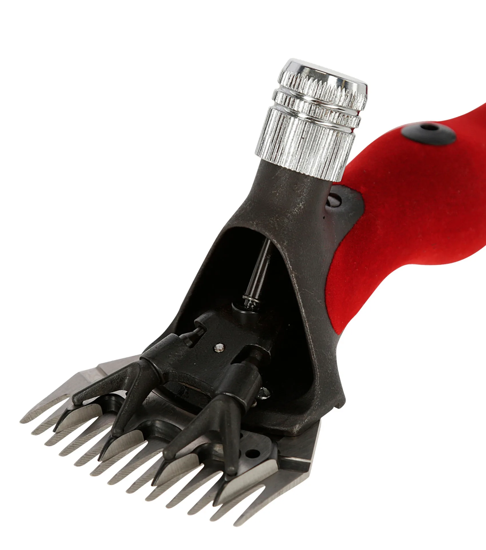 Kerbl - K18150
