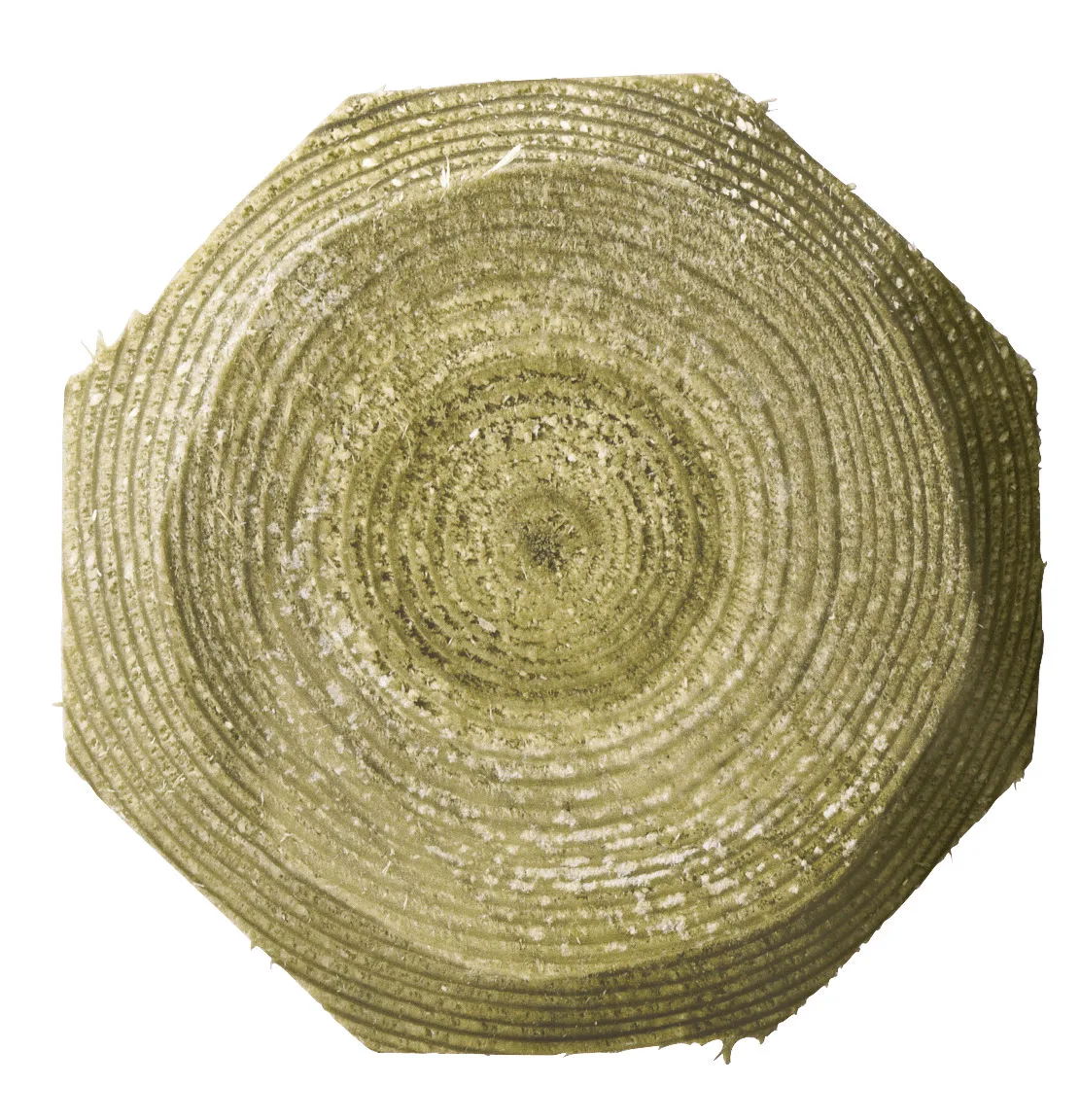 Kerbl - K441820