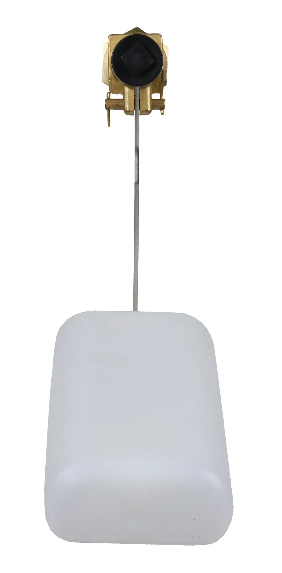 Patura - P1310700