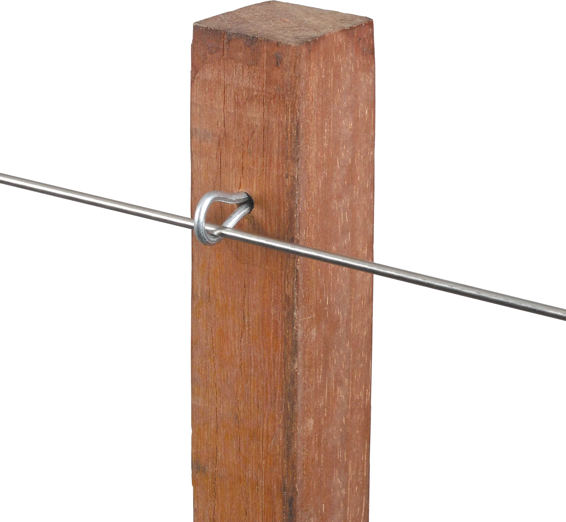 Patura - P175400