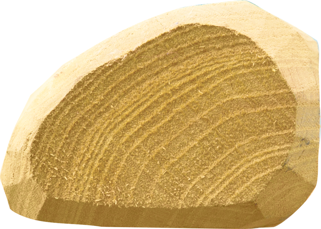 Patura - P219105