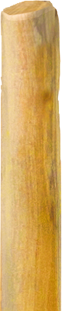 Patura - P219105