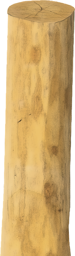 Patura - P219122