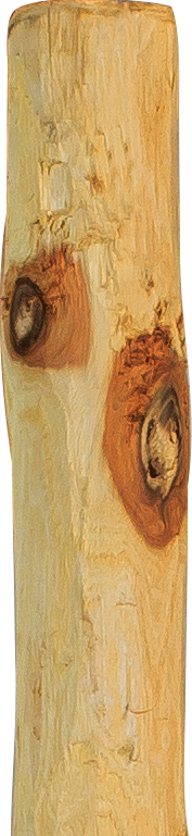 Patura - P219124