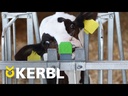 Auswurfsicherung"Bucket Guard" nachrüstbar, 3er-Pack