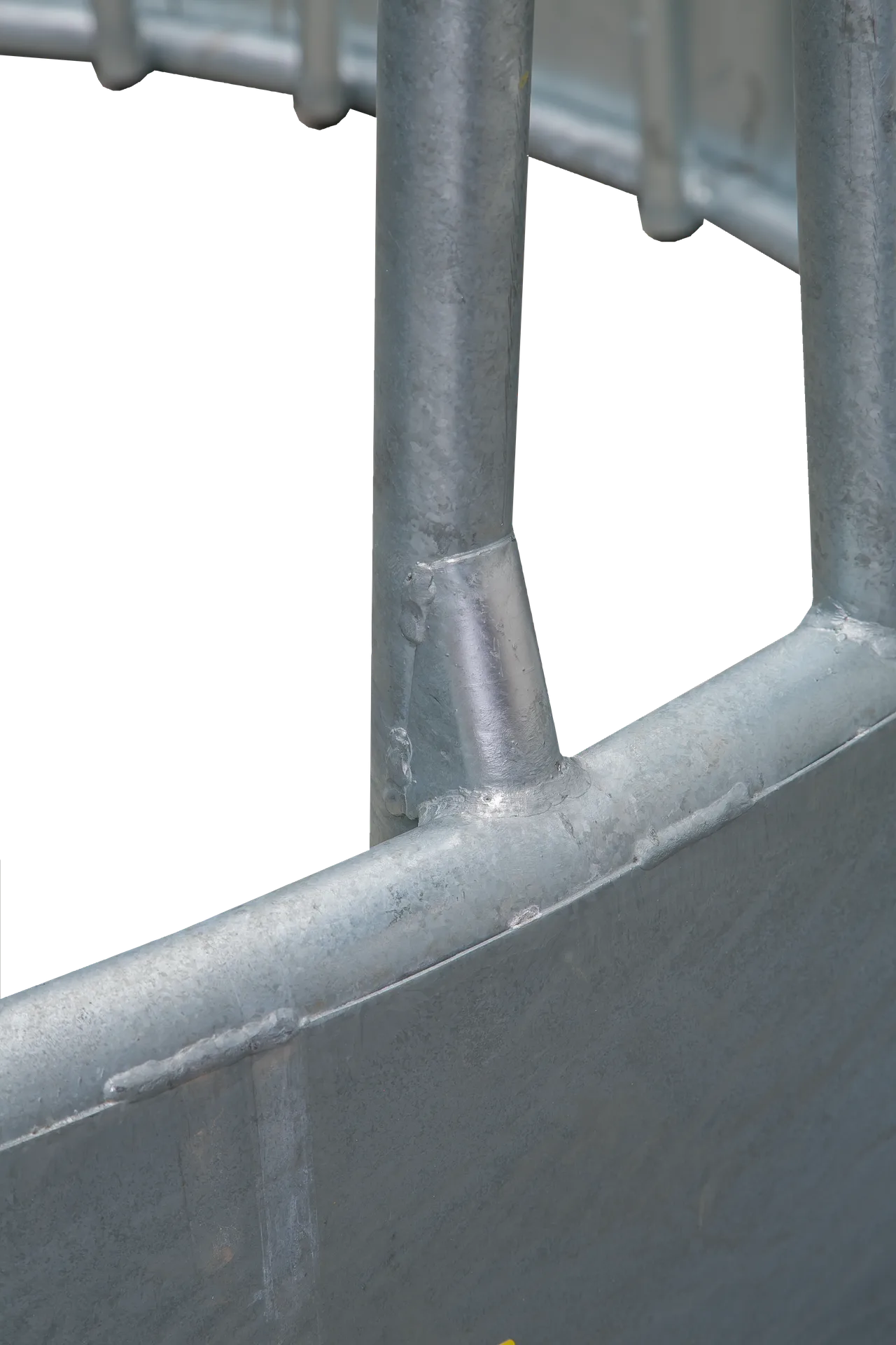 Patura - P303525