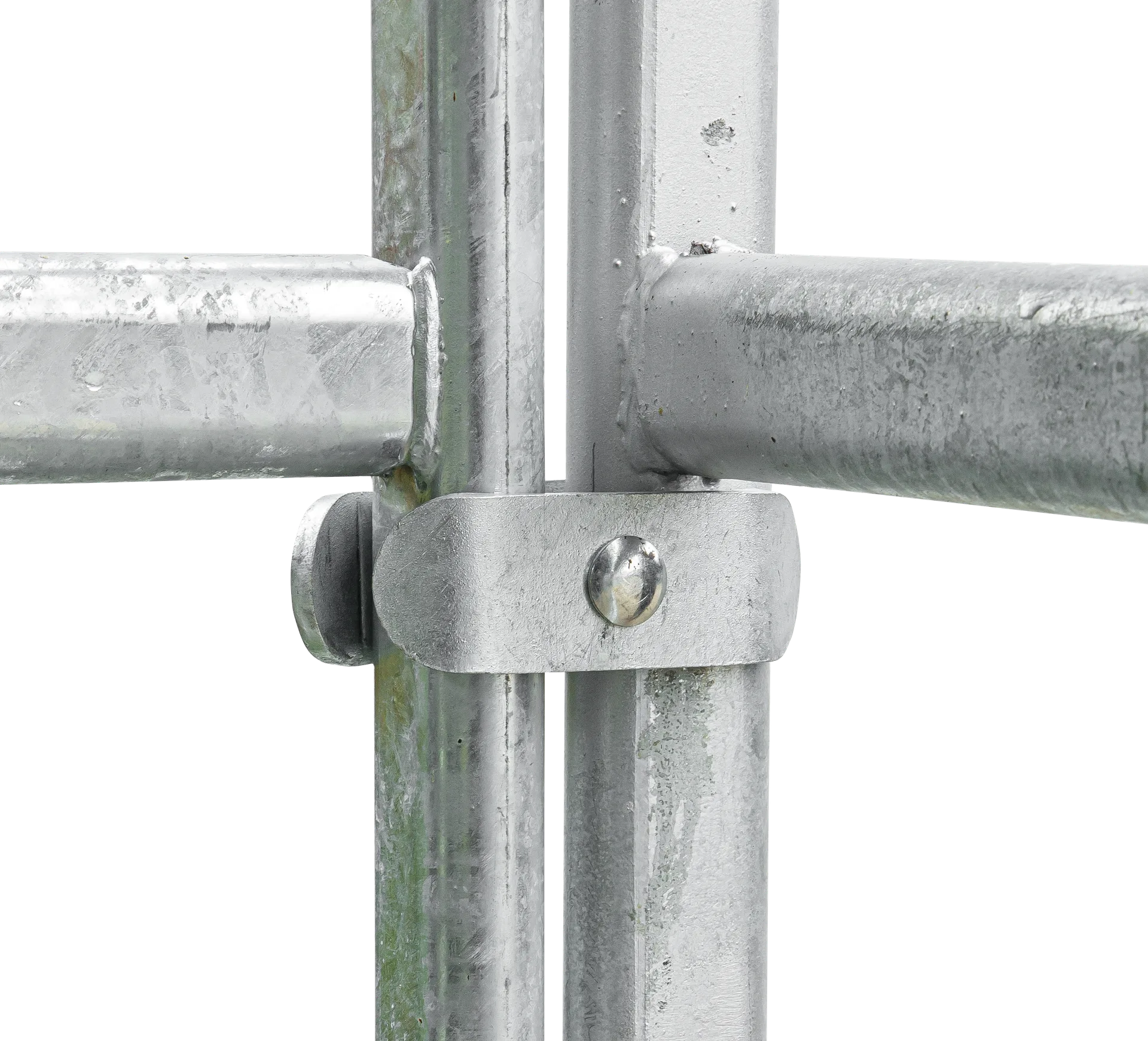 Patura - P310262