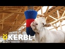 Kratzbürste HAPPYCOW FlexiSwing