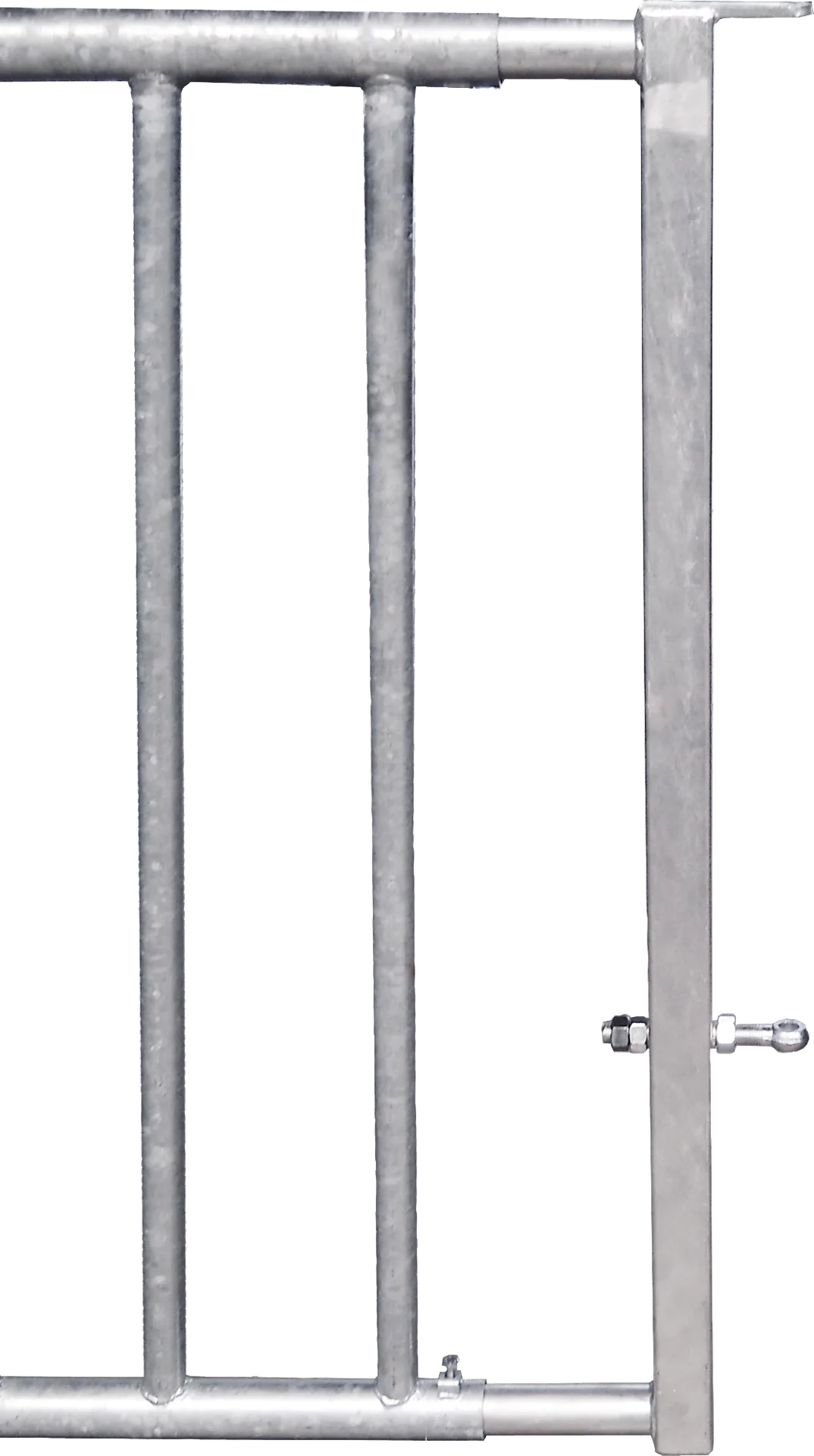 Patura - P323659