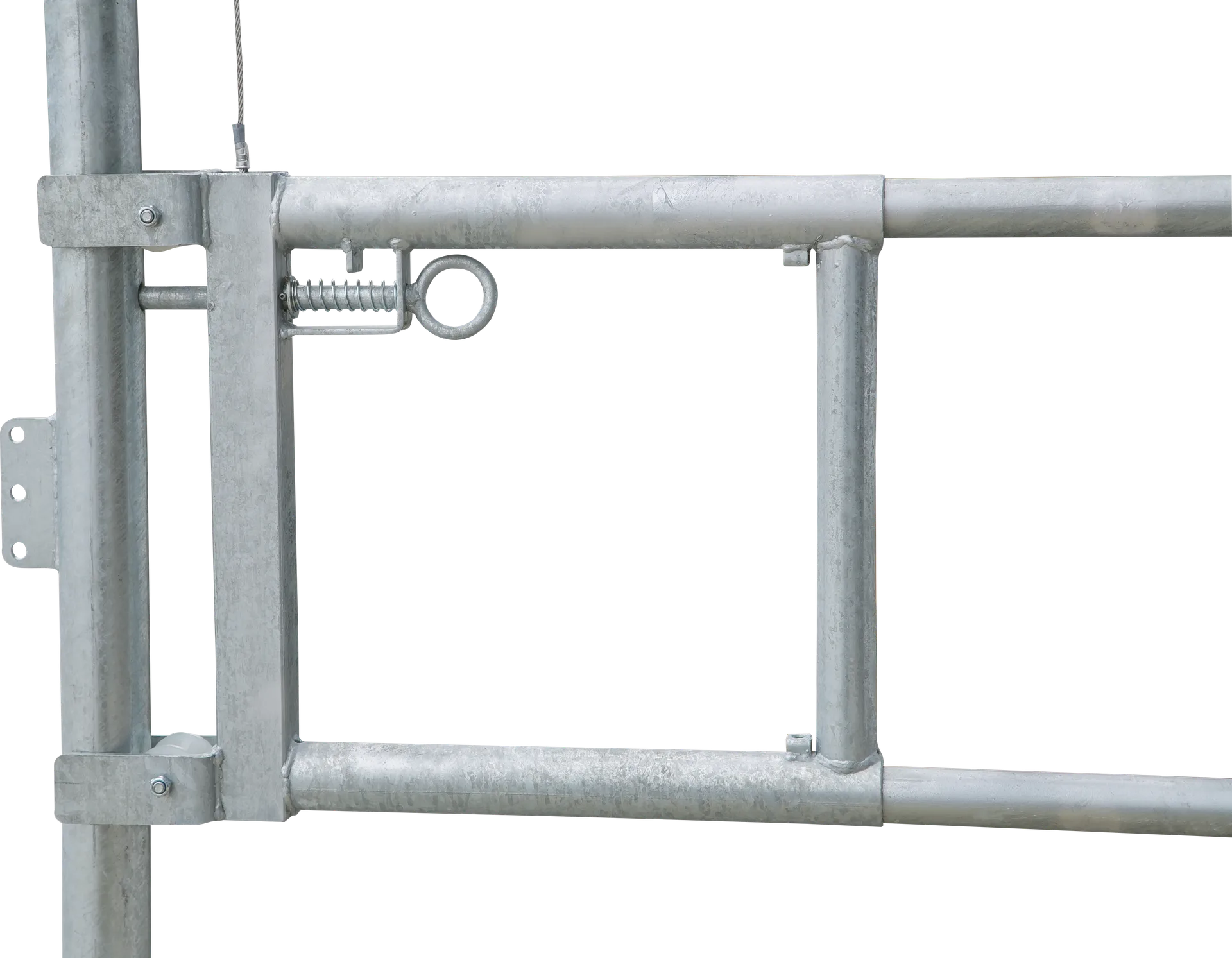 Patura - P323901