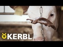 Ferkelbeißring Natur, ohne Aufhängekette