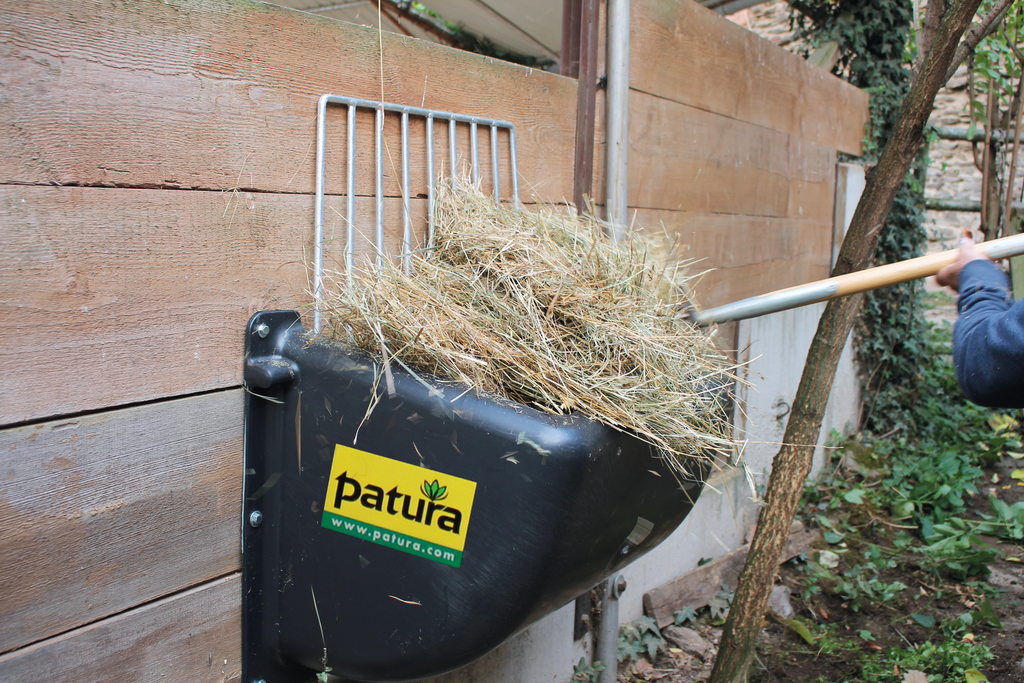 Patura - P333195