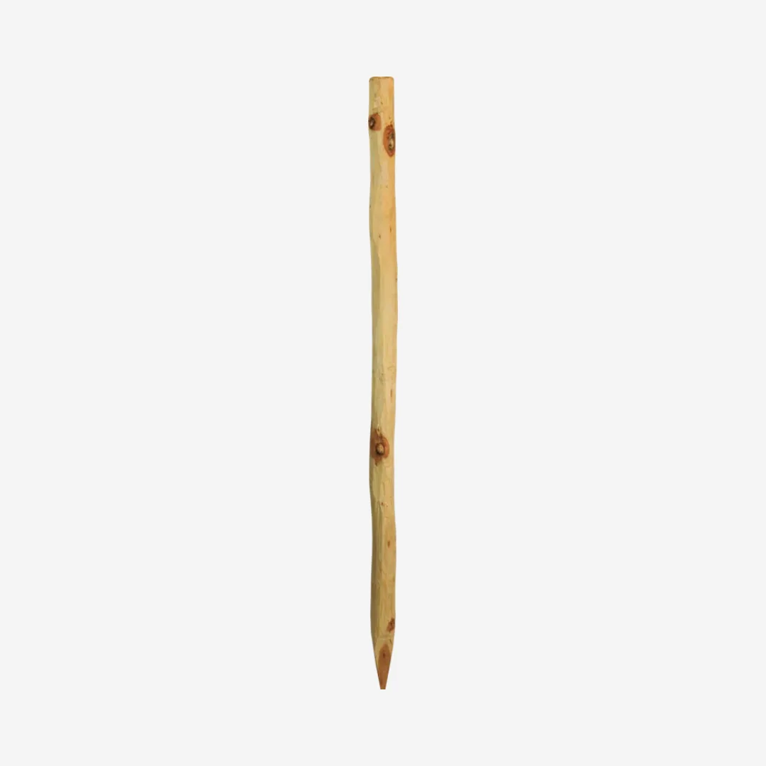 Robinienpfahl ∅ 6 - 8 cm