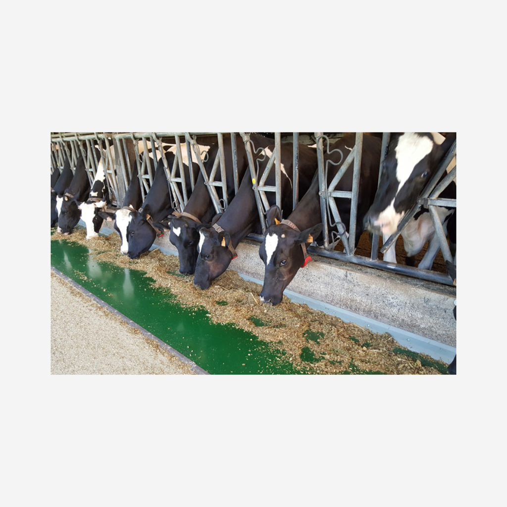 SaniFeed Futtertischbelag, pro m