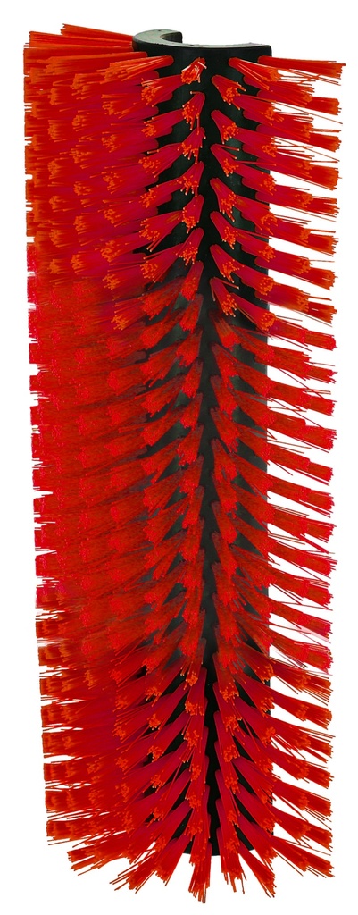 Kratzbürste Benny, 19 cm x 44 cm   