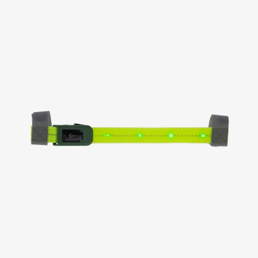 Stirnriemen LED