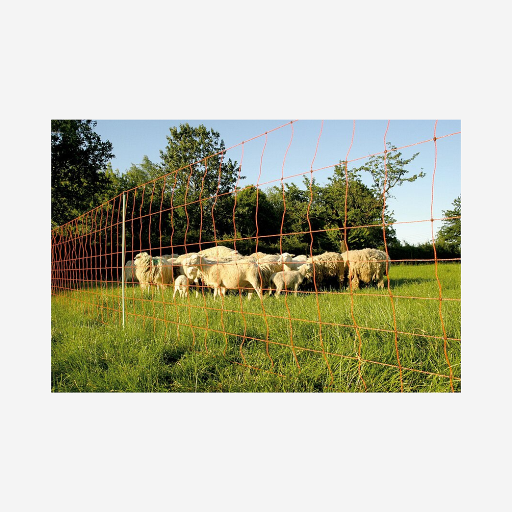 GÖ EUro Wolfsnetz 106/1 Wildverbiss