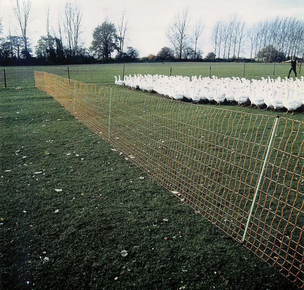 Euro-Netz Geflügel 112/2 50m