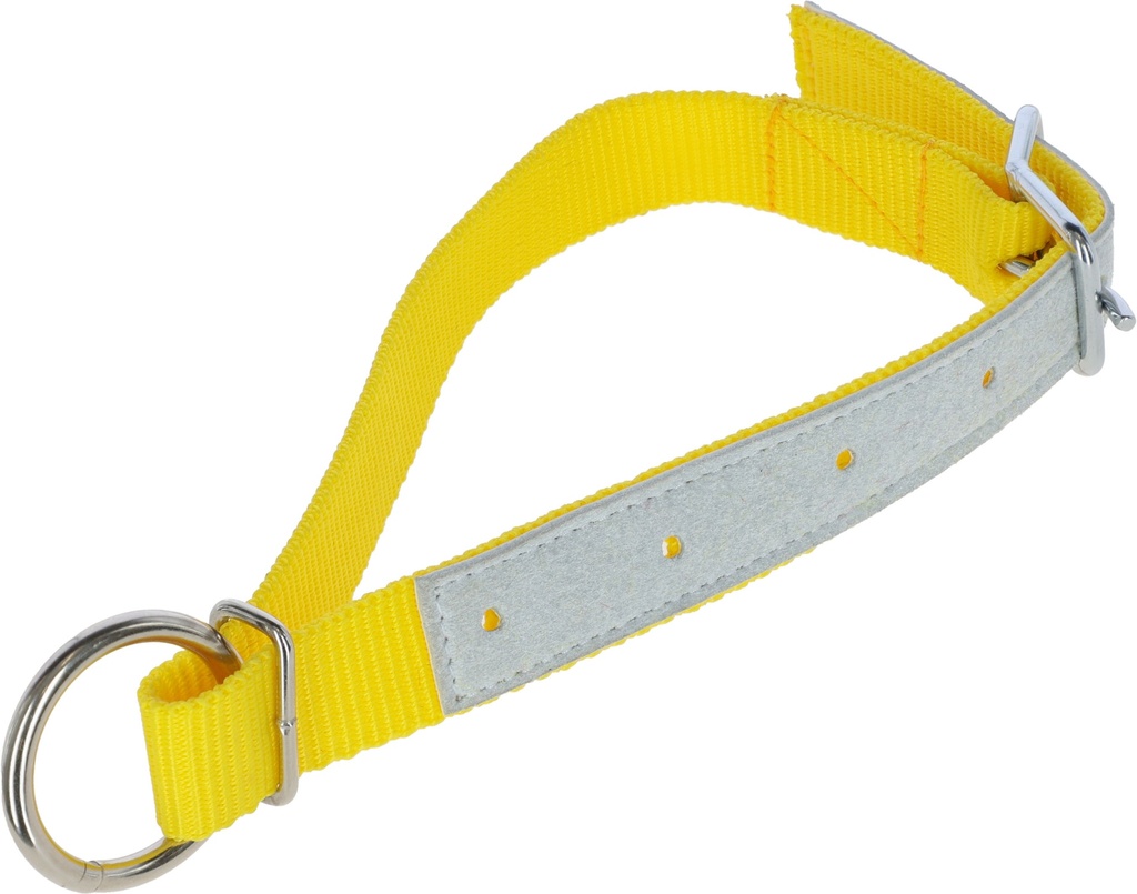 Halsriemen für Schafe