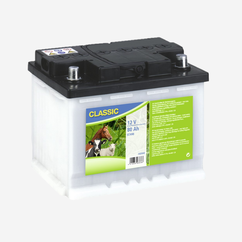 12 V Spezial Nass-Akku 