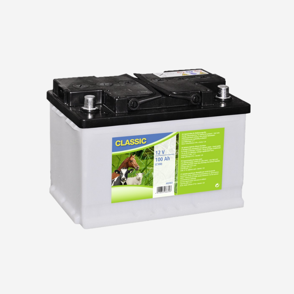 12 V Spezial Nass-Akku