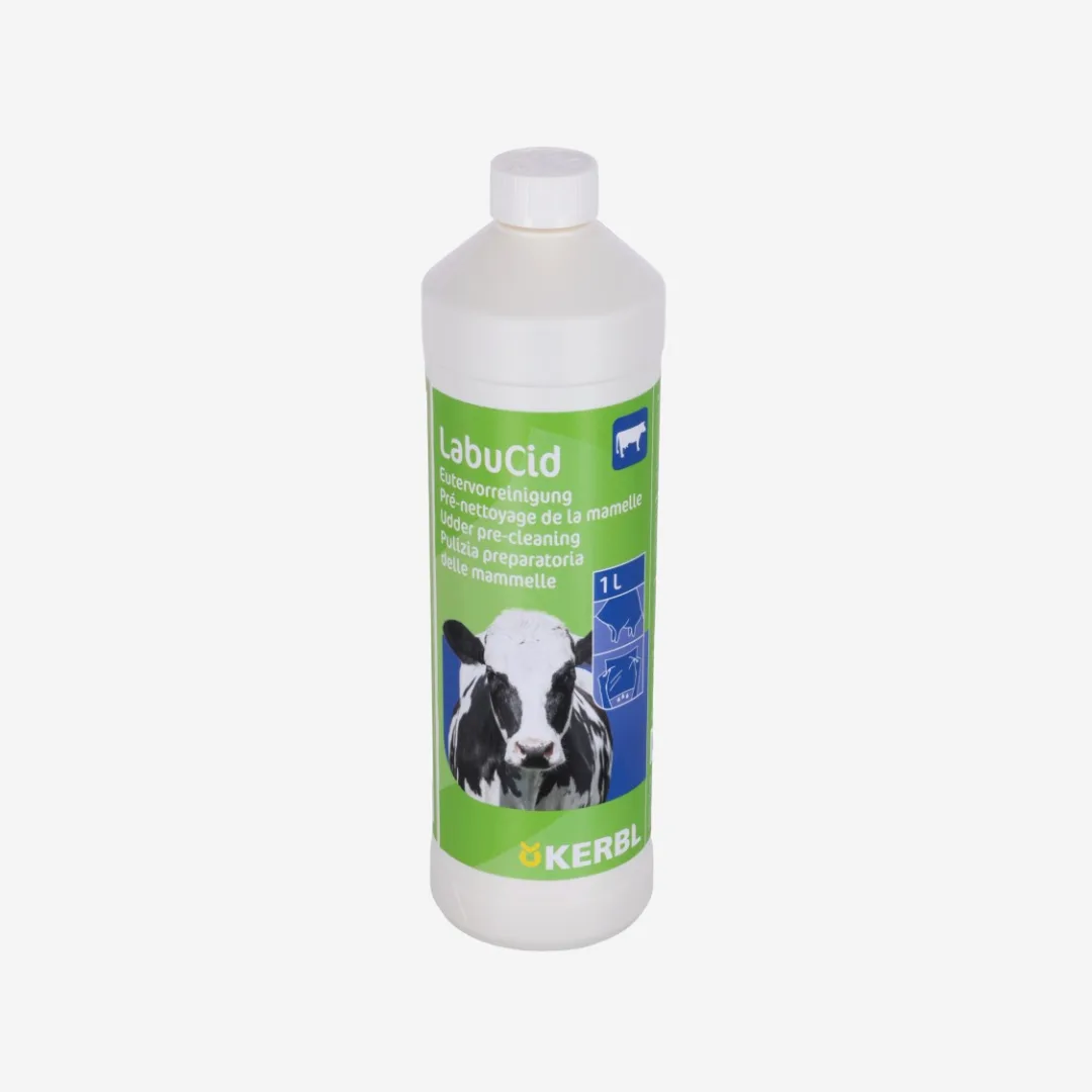 Eutervorreinigung LabuCid, 1000 ml