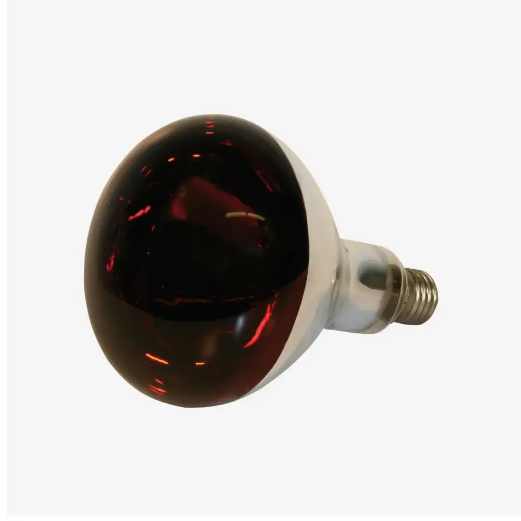 Infrarotlampe 150W Hartglas, rot