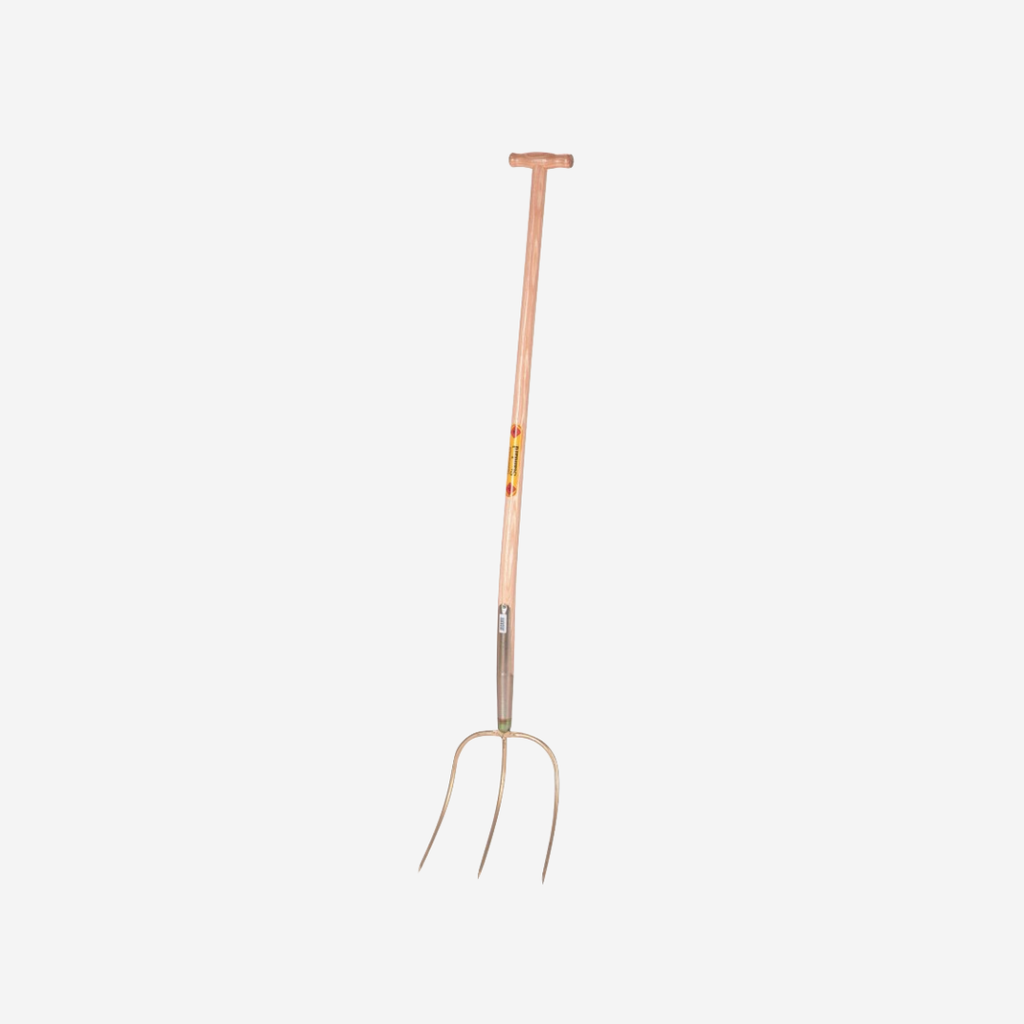 Gabel Abt Standard